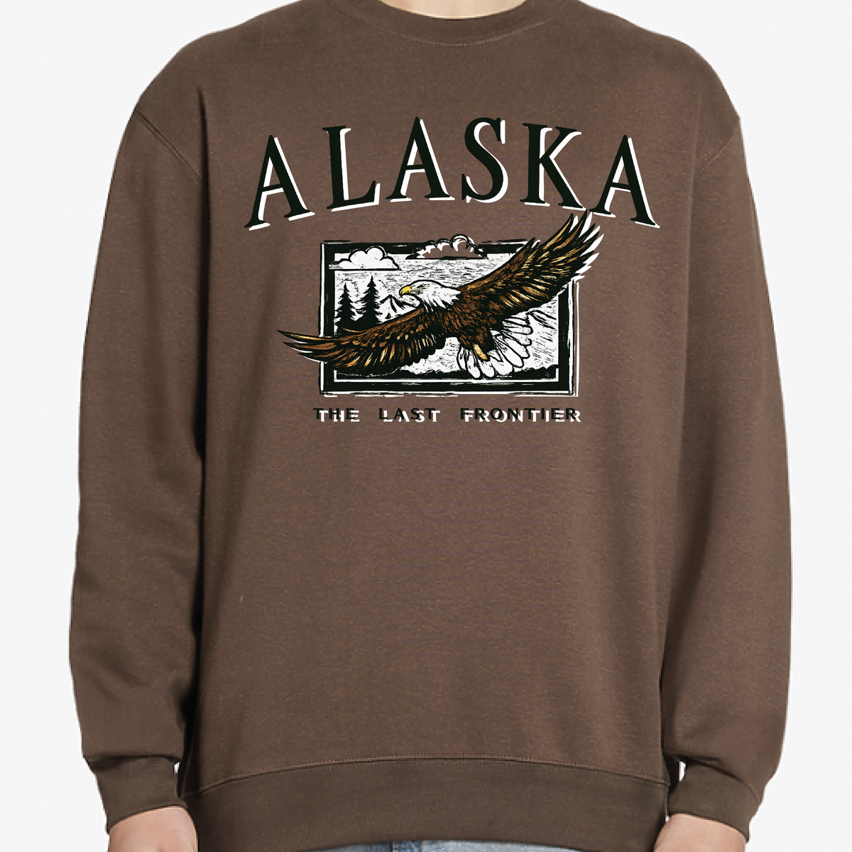 Vintage Eagle Sweatshirt Graphic Design Sweatshirt Lane Seven XS 