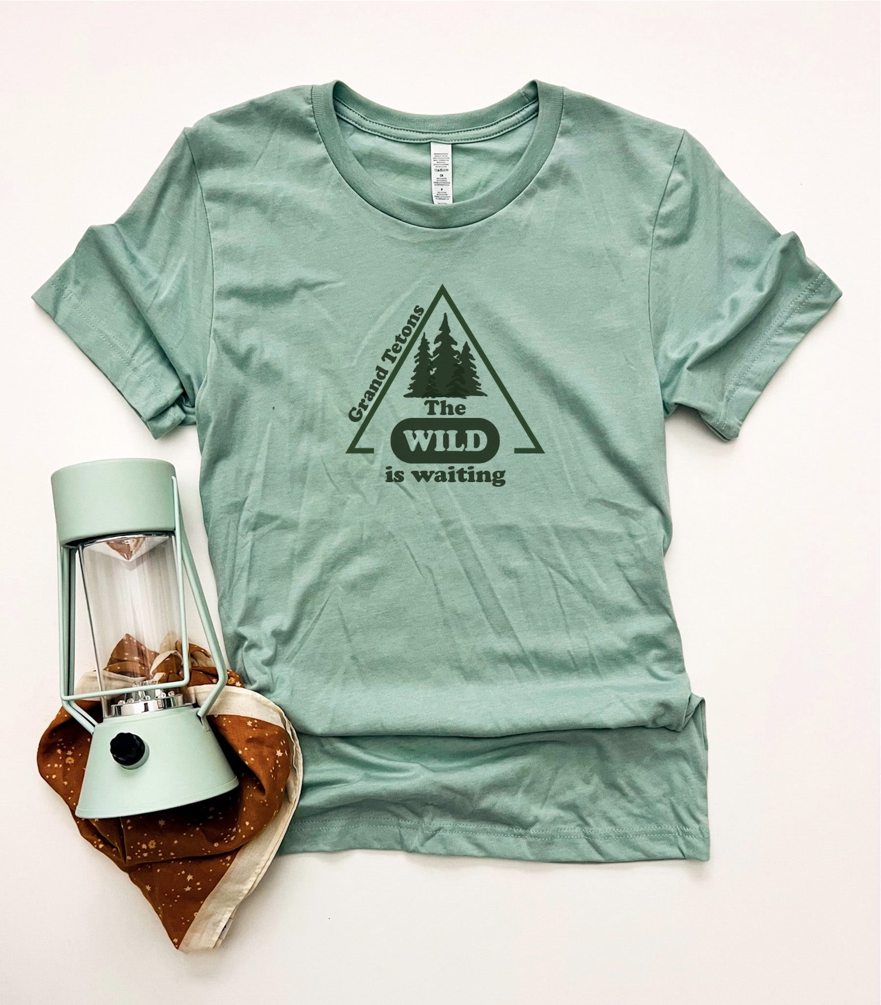 Grand Tetons The wild is waiting tee National park tee Bella Canvas 3001 