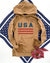 USA vintage wash hoodie Patriotic hoodie Lane Seven vintage hoodie 